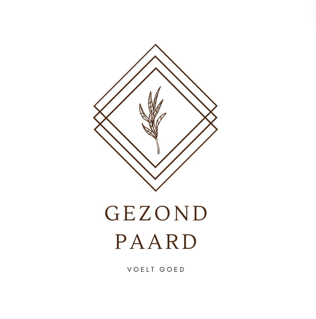 gezond paard